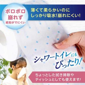 ふるさと納税 3倍長持ち トイレットペーパー ...の詳細画像3