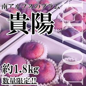 ふるさと納税 ＜2026年発送先行予約＞山梨県南アルプス市産 高級すもも 貴陽 約1.8ｋｇ 6〜9...