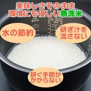 ふるさと納税 【JAみなみ魚沼定期便】南魚沼産...の詳細画像2