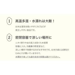 ふるさと納税 新米 令和8年産 つや姫 無洗米...の詳細画像3