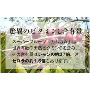 ふるさと納税 カムカム-junsui-(純粋)...の詳細画像1