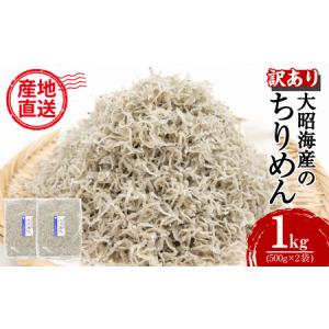 ふるさと納税 訳あり ちりめん 1kg しらす 干し 冷蔵 産地直送 国産 徳島県産 和田島産 ちり...