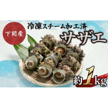 ふるさと納税 サザエ 約1kg 7?12粒 特大サイズ 刺身 冷凍 スチーム加工 レンジ で チンす...