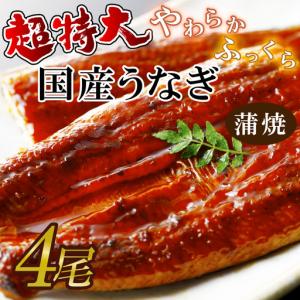 ふるさと納税 超特大！やわらか国内産うなぎ蒲焼220〜250g 4尾　計880g以上|うなぎ 鰻 蒲焼 特大 茨城県 行方市(AD-93-1) 茨城県行方市