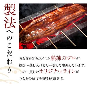 ふるさと納税 超特大!やわらか国内産うなぎ蒲焼...の詳細画像3