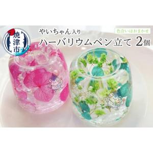 ふるさと納税 ハーバリウム ペン立て やいちゃん...の商品画像
