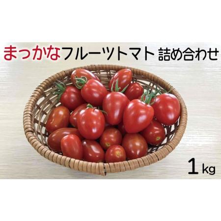 ふるさと納税 まっかなフルーツトマト詰め合わせ　1kg 島根県安来市
