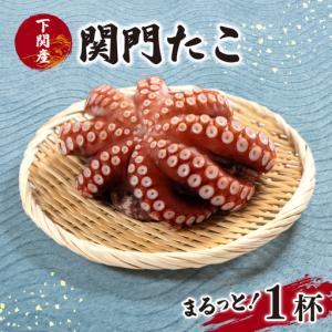ふるさと納税 関門 たこ タコ 蛸 真だこ マダコ 1杯