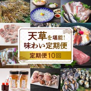 ふるさと納税 S999-T10_【定期便10回】天草を堪能！味わい定期 熊本県天草市
