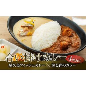 ふるさと納税 【屋久島産トビウオ100％】屋久島フィッシュカレー＆屋久島海と森のカレー合い掛け4点セット 鹿児島県屋久島町