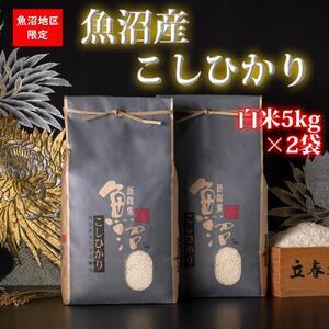 ふるさと納税 【令和5年産 新米】魚沼産コシヒカリ（白米5kg×2袋）【新潟県 特A地区】 新潟県