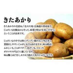 ふるさと納税 【訳あり】じゃがいも福袋20kg...の詳細画像1