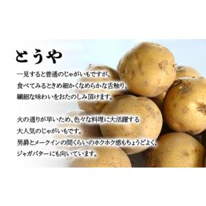 ふるさと納税 【訳あり】じゃがいも福袋20kg...の詳細画像2