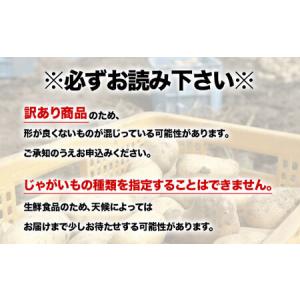 ふるさと納税 【訳あり】じゃがいも福袋20kg...の詳細画像3