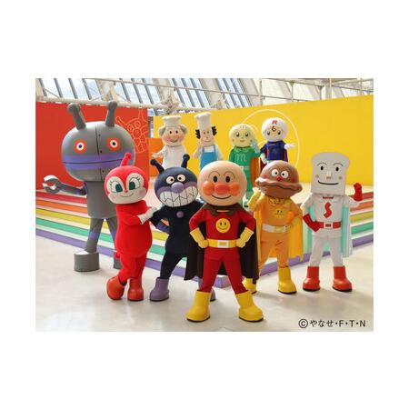 ふるさと納税 【2枚セット】福岡アンパンマンこどもミュージアム 入場チケット  | アンパンマン キ...