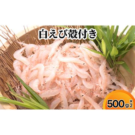 ふるさと納税 白えび殻付き500g×2 富山県射水市