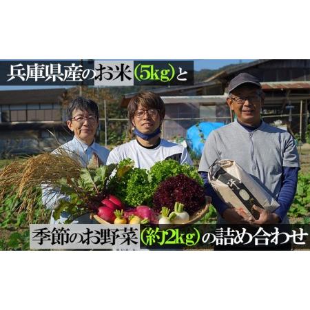 ふるさと納税 兵庫県産のお米（3kg）と季節のお野菜（約2kg）の詰め合わせ 兵庫県佐用町