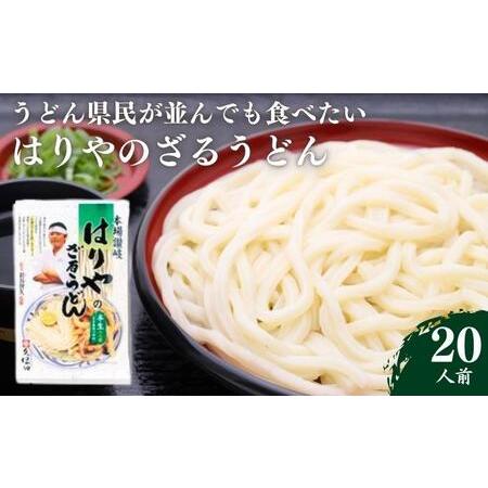 ふるさと納税 うどん 香川県民が並んでも食べたい店 はりや さぬきうどん 10人前 名店 讃岐うどん...