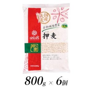 ふるさと納税 1.1-9-12はくばく　押麦　800gx6個 山梨県南アルプス市