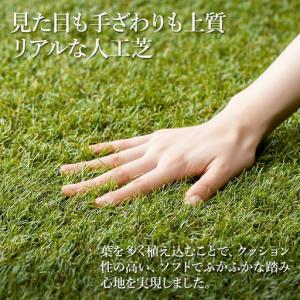 ふるさと納税 人工芝 ロール 1m×2m 丈3...の詳細画像1
