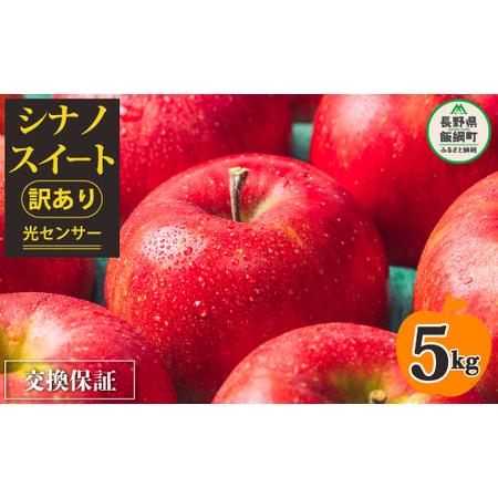 ふるさと納税 りんご ５Kg 【令和６年度先行予約】 果物 訳あり シナノスイート 長野県 感謝りん...