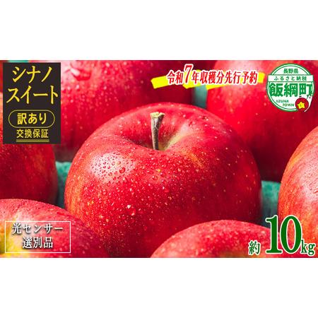 ふるさと納税 りんご 10Kg 【令和7年度先行予約】 果物 訳あり シナノスイート 長野県 感謝り...