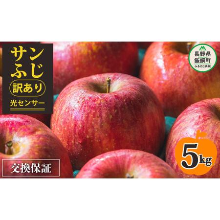 ふるさと納税 りんご ５Kg 【令和６年度先行予約】 果物 サンふじ 訳あり 長野 感謝りんご 交換...