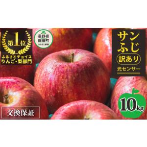 ふるさと納税 りんご 10kg 【令和6年度先行予約】 果物 サンふじ 訳あり 感謝りんご 交換保証 規格外 家庭用 傷あり 10キロ (24から50玉)  R6年1.. 長野県飯綱町