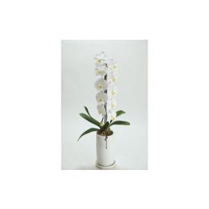 ふるさと納税 季節ごとに届く、えらべるお花 M...の詳細画像1