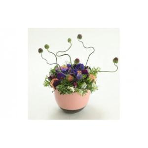 ふるさと納税 季節ごとに届く、えらべるお花 S...の詳細画像2
