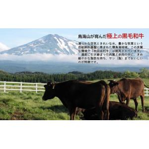 ふるさと納税 《定期便》11ヶ月連続 秋田由利...の詳細画像1