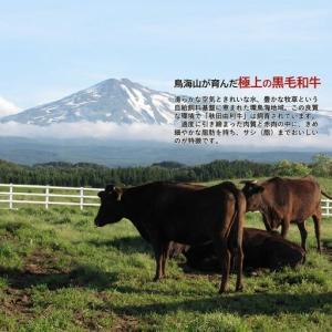 ふるさと納税 秋田由利牛 牛肉 バラ切り落とし...の詳細画像1