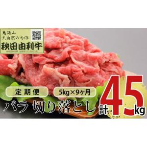 ふるさと納税 《定期便》9ヶ月連続 秋田由利牛 バラ切り落とし 5kg（1kg×5パック） 秋田県にかほ市