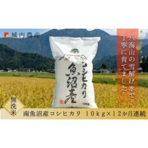 ふるさと納税 【令和7年産】【お米定期便/全12...の商品画像