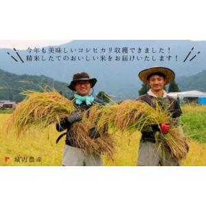 ふるさと納税 【令和7年産】【お米定期便/全1...の詳細画像2