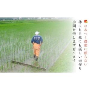 ふるさと納税 【令和7年産】【お米定期便/全1...の詳細画像3
