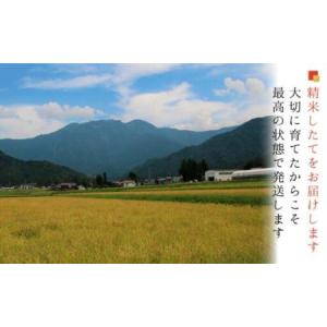 ふるさと納税 【令和7年産】【お米定期便/全1...の詳細画像4