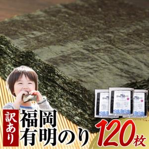ふるさと納税 大牟田市 有明海苔 風味豊かな初摘み華海苔「焼き海苔 半