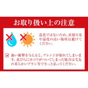ふるさと納税 ふるさと納税 プリザーブドアレン...の詳細画像3