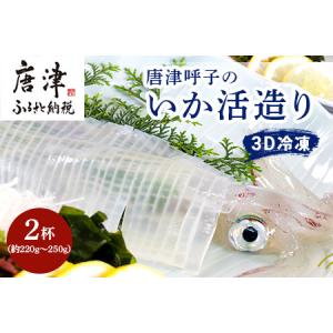 ふるさと納税 『』唐津呼子産いか活造り 2杯(250g×2)