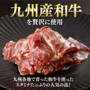 ふるさと納税 【全12回定期便】【塩だれ】九州...の詳細画像1