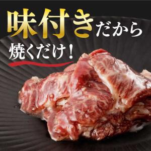 ふるさと納税 【全12回定期便】【塩だれ】九州...の詳細画像2