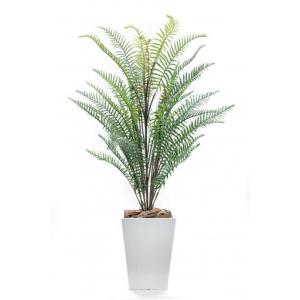 ふるさと納税 人工観葉植物　シダ熱帯ポット ソードファーン　白樹脂鉢Sサイズ付 兵庫県神戸市