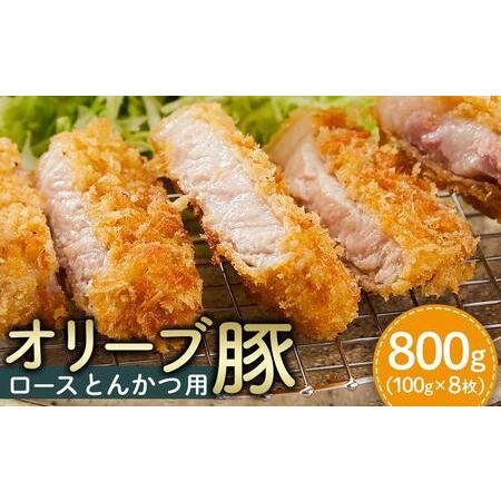 ふるさと納税 豚肉 オリーブ豚 ロースとんかつ用 800g（100g×8枚）【化粧箱入り】【配送不可...