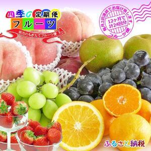ふるさと納税 【定期便24回】創業100年 産直あきんど四季のフルーツの定期便《月2回×12ヶ月連続でお届け》 香川県坂出市