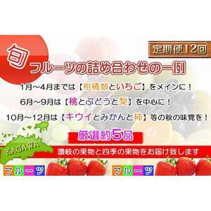 ふるさと納税 【頒布会12回】<産直あきんど>...の詳細画像1