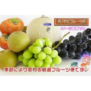 ふるさと納税 【頒布会12回】<産直あきんど>...の詳細画像4
