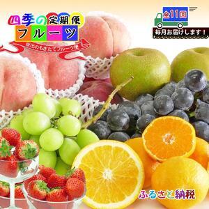 ふるさと納税 【定期便11回】創業100年 産直あきんど四季のフルーツの定期便《11ヶ月連続でお届け》 香川県坂出市