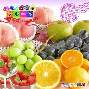 ふるさと納税 【定期便14回】創業100年 産直あきんど四季のフルーツの定期便《月2回×7ヶ月連続でお届け》 香川県坂出市