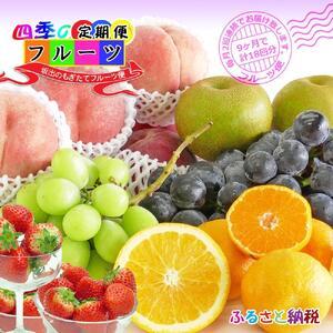 ふるさと納税 【定期便18回】創業100年 産直あきんど四季のフルーツの定期便《月2回×9ヶ月連続でお届け》 香川県坂出市